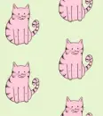Meow 