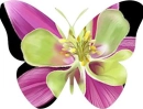 Flower'd Butterfly