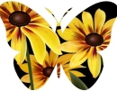 Flower'd Butterfly