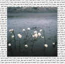 Photo written