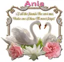 Never forget you- Ania