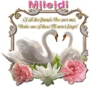 Never Forget you- Mileidi