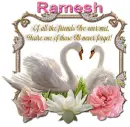Never Forget You- Ramesh