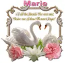 Never Forget you-Marie