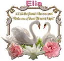 Never Forget you- Elia