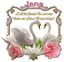 Never Forget you-Jane