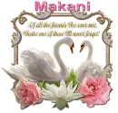 Never Forget You- Makani