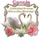 Never Forget you- Connie
