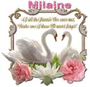 Never Forget you- Milaine