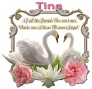Never forget you- Tina