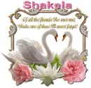 Never Forget you- Shakela