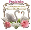 Never Forget You- Robbie