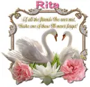Never Forget you- Rita