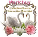 Never Forget you- Marichuy