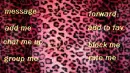 pink leopard print