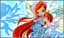 bloom