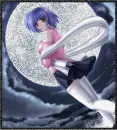 Moonlit Night