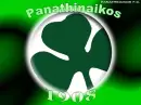 I love Panathinaikos