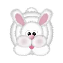 Cute Bunny