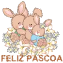 pÃ¡scoa