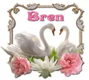 Swans in pink- Bren