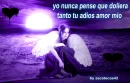 amor mio