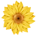 flor