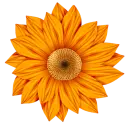 flor