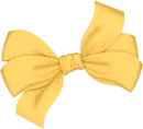laÃ§o