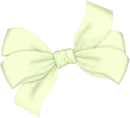 laÃ§o