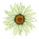 flor