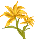 flor