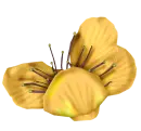 flor