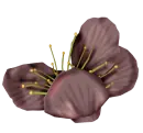 flor