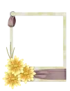 quadro