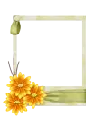 quadro
