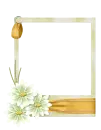 quadro