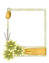 quadro