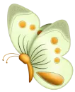 borboleta