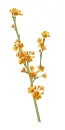 flor