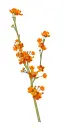 flor