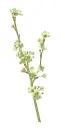 flor