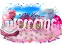 All kitties Welcome!