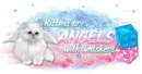 Kittens are.....
