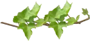 divisÃ³ria
