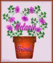Melanie