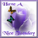 Have A Nice Tuesday 