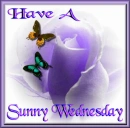 Have A Sunny Wednesday