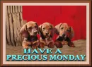 Have A Precious Day