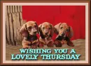 Wishing You A Lovely Thursday